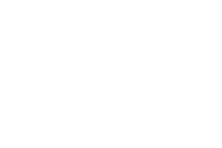 Dr. Mohamad Khorshid, Cosmetic Dentist